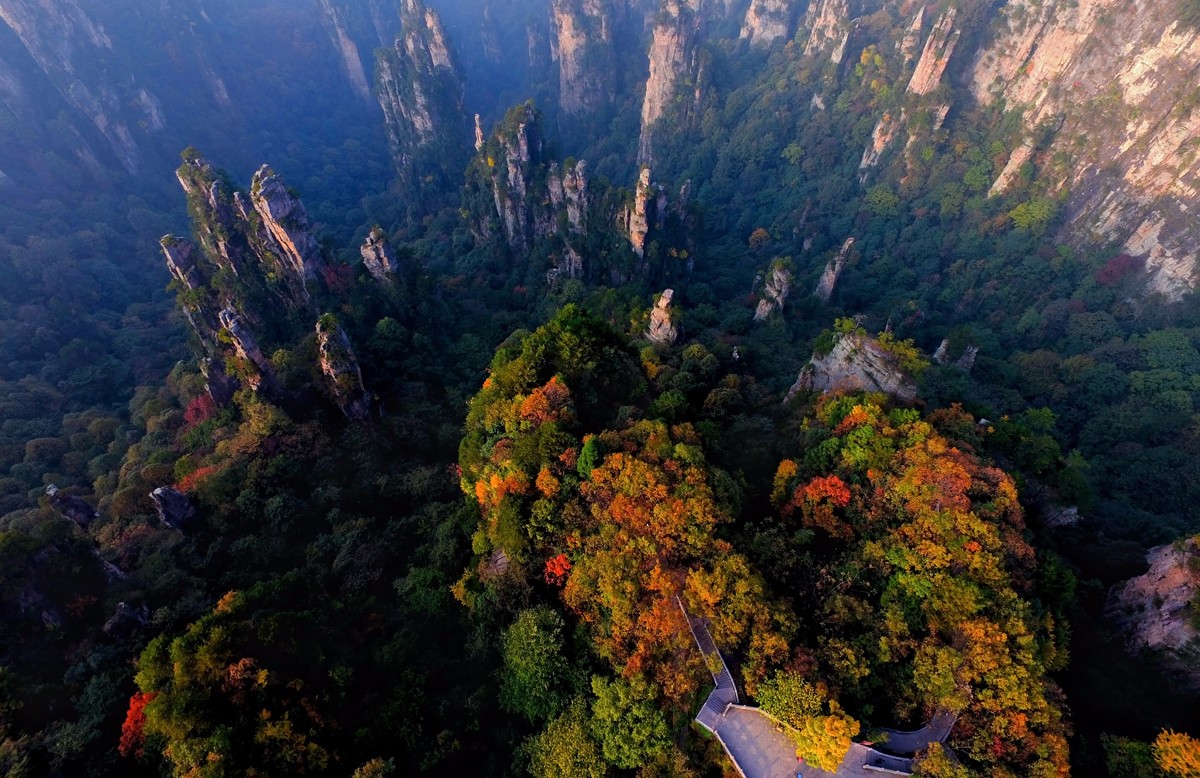 銅獎《天子山秋色 》張光之攝.jpg