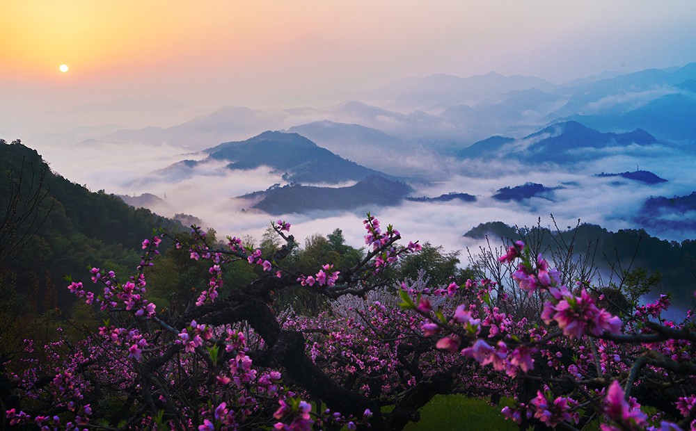 《日出東山》+韓曉霞+浙江奉化.jpg