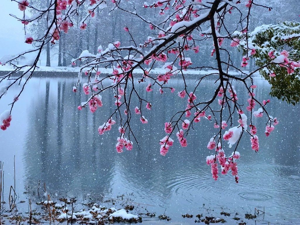 26.安娜+東湖雪+2022年2月7日.jpg