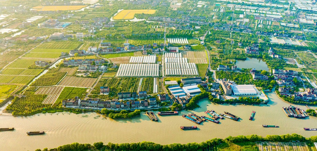 大運河現(xiàn)代農(nóng)業(yè)全景（攝影：蔣明君，拍攝地：江蘇省徐州市徐州段大運河）_結果.jpg